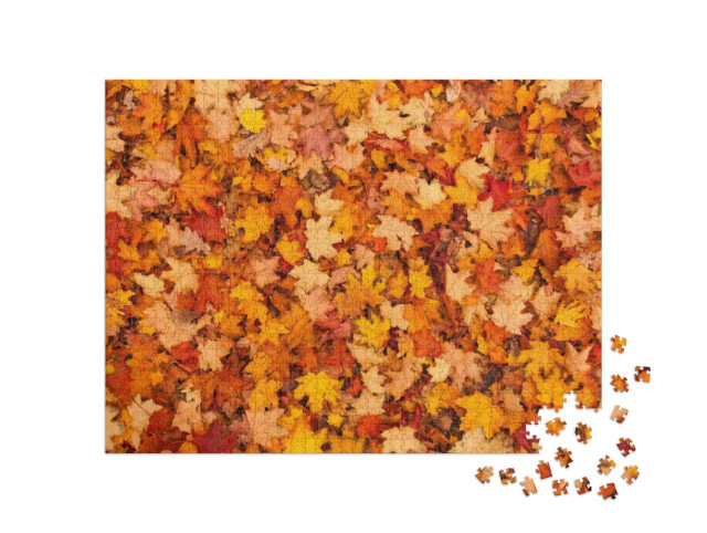 Puzzel 1000 stukjes „Rode en oranje herfstbladeren“