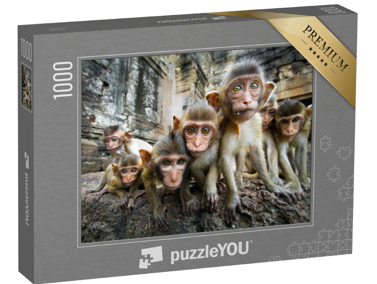Puzzel 1000 stukjes „Nieuwsgierige babyaapjes, Lopburi, Thailand“
