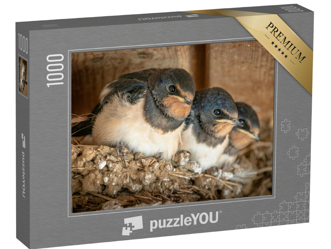 Puzzel 1000 stukjes „Schattige zwaluwkuikens in hun nest“