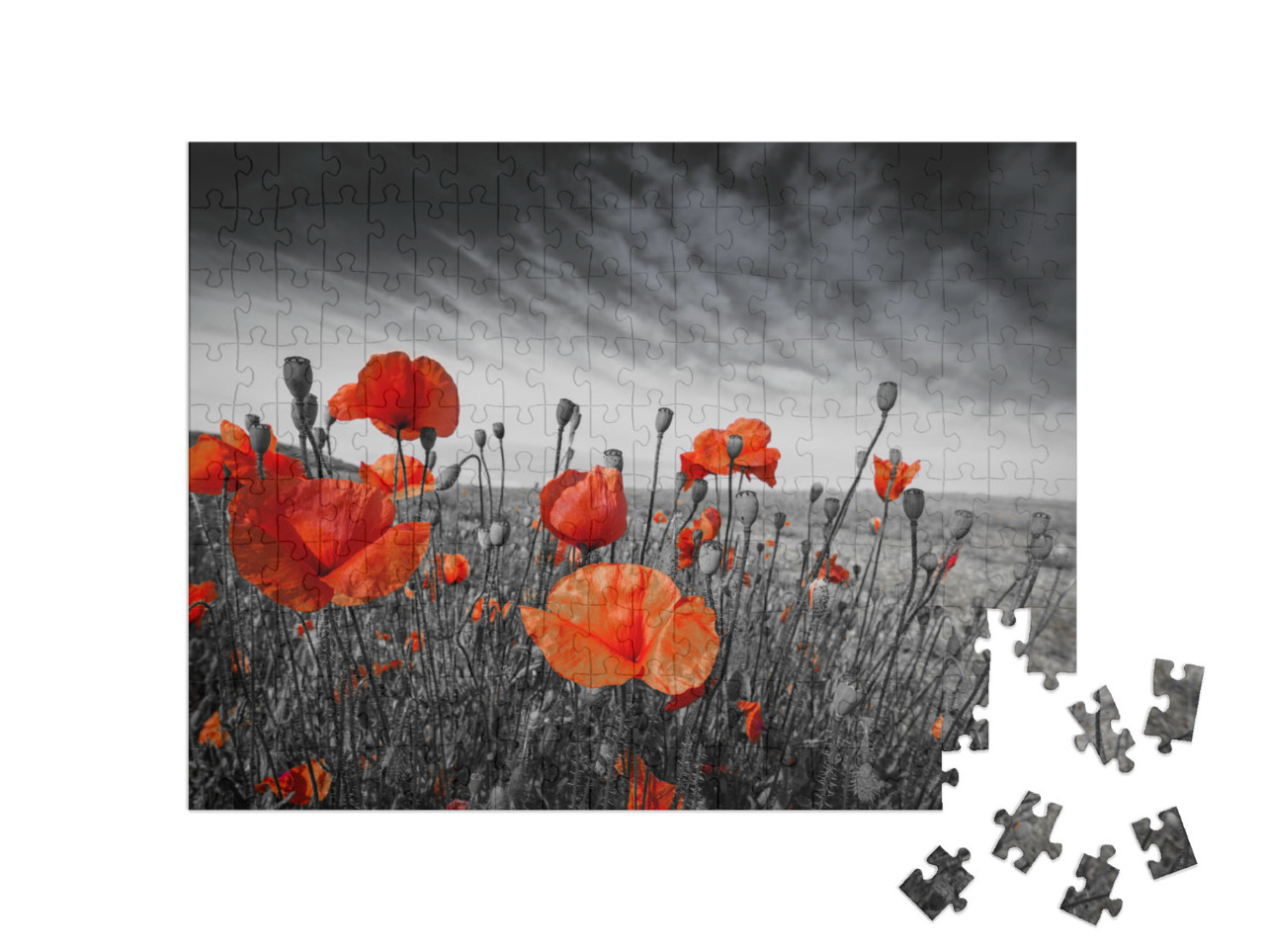Puzzel 200 stukjes „Klaprozen in een weiland“