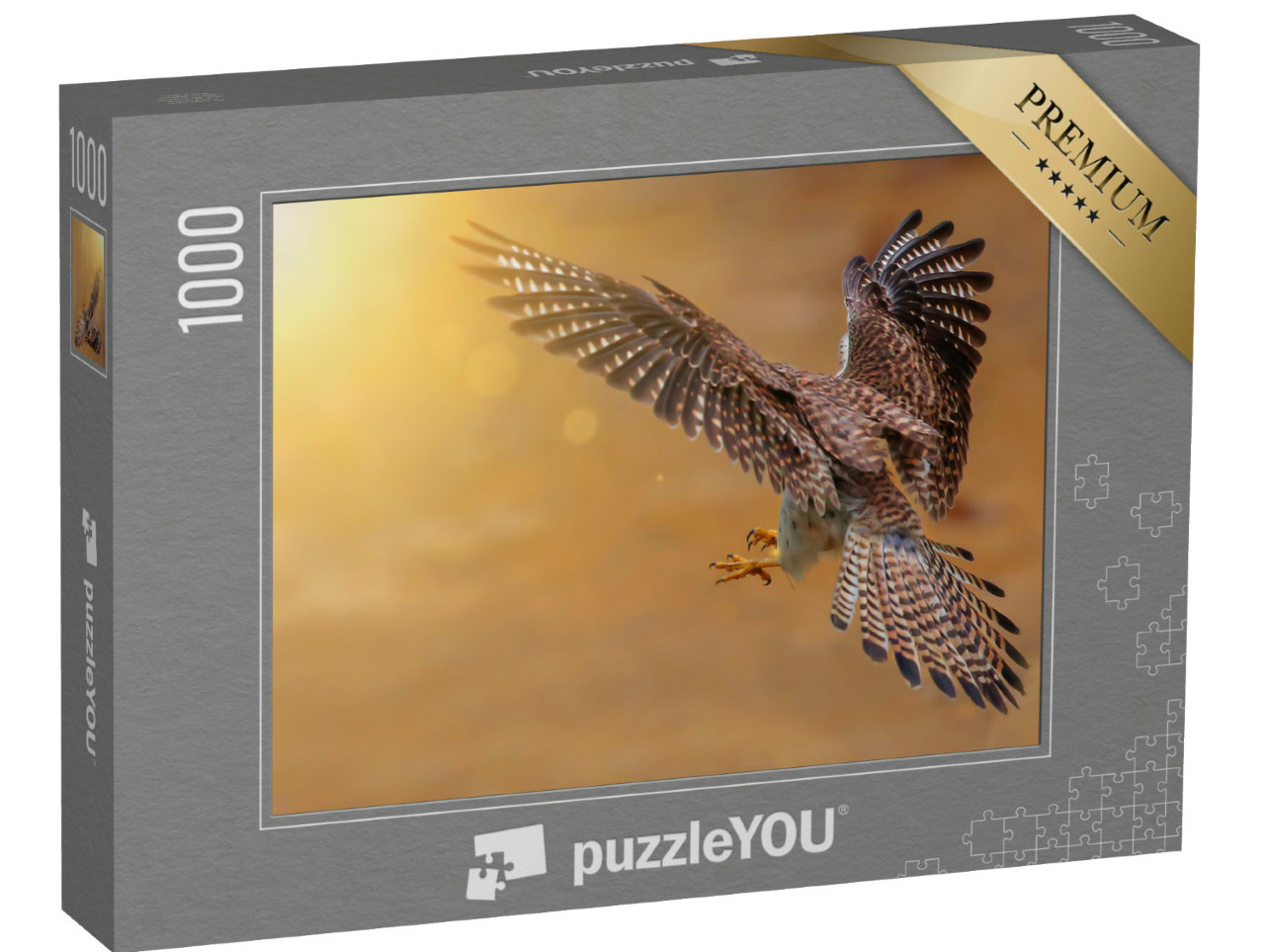 Puzzel 1000 stukjes „Achteraanzicht van een jagende torenvalk“