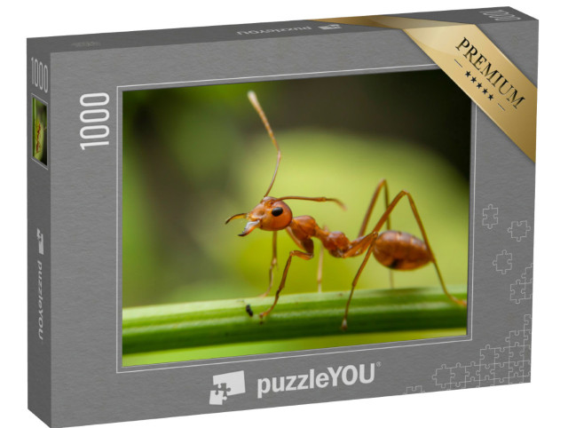 Puzzel 1000 stukjes „Rode mieren zoeken voedsel op groene takken“
