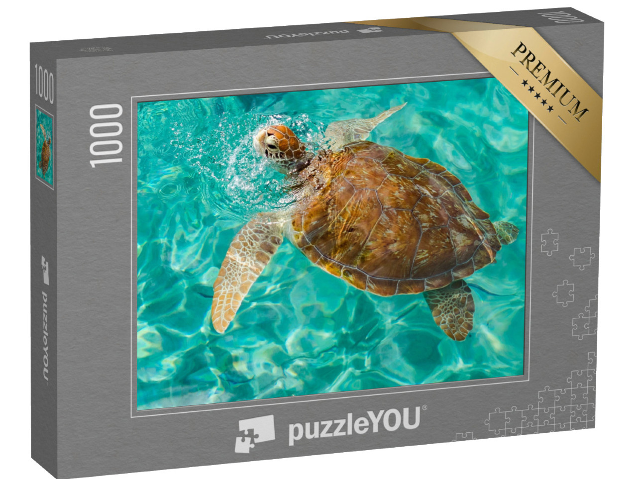 Puzzel 1000 stukjes „Schildpad in Westpunt, Caribisch eiland Curaçao“