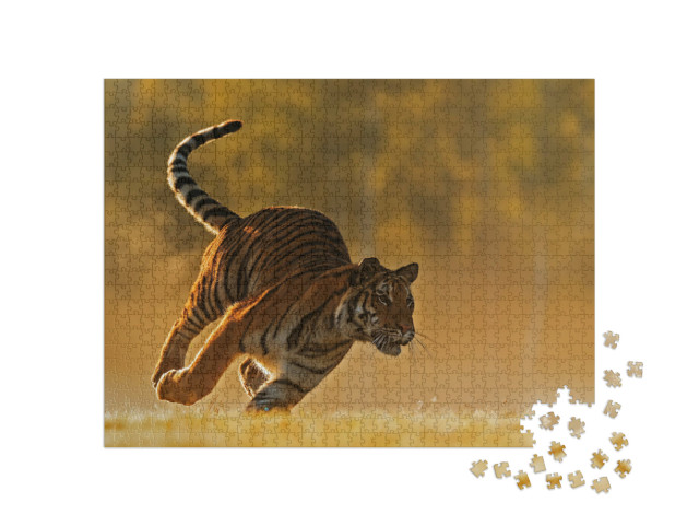 Puzzel 1000 stukjes „Siberische tijger op jacht in volle vlucht“