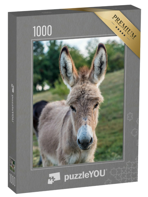 Puzzel 1000 stukjes „Jonge ezels in de wei“
