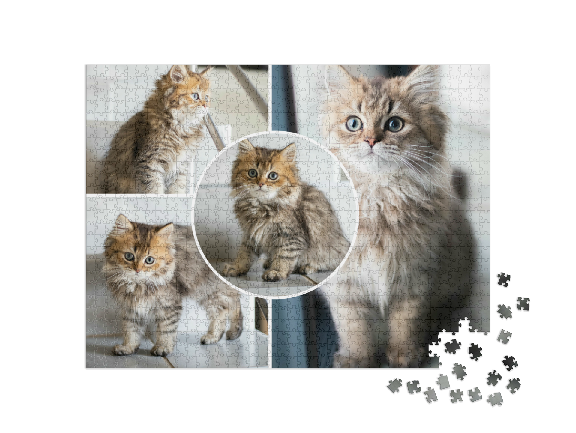 Puzzelcollage