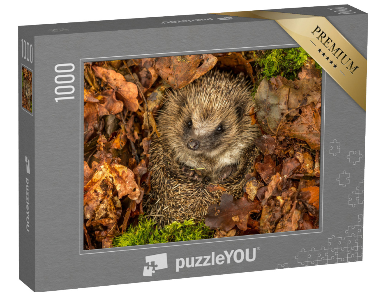 Puzzel 1000 stukjes „Egel in de bladeren“