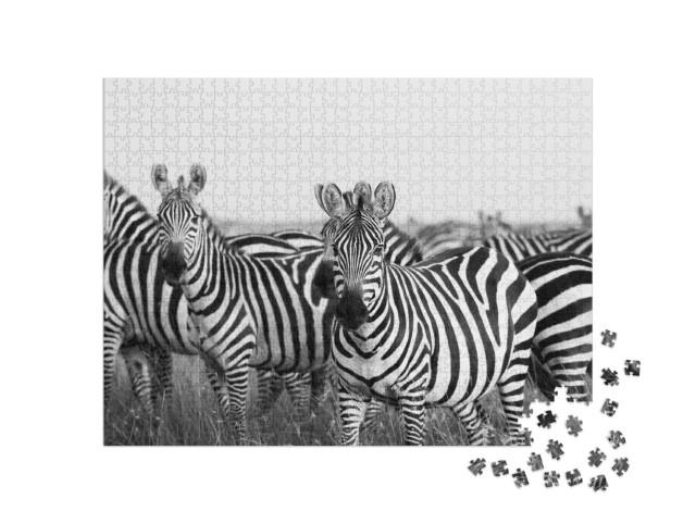 Puzzel 1000 stukjes „Kudde zebra's in de Masai Mara“