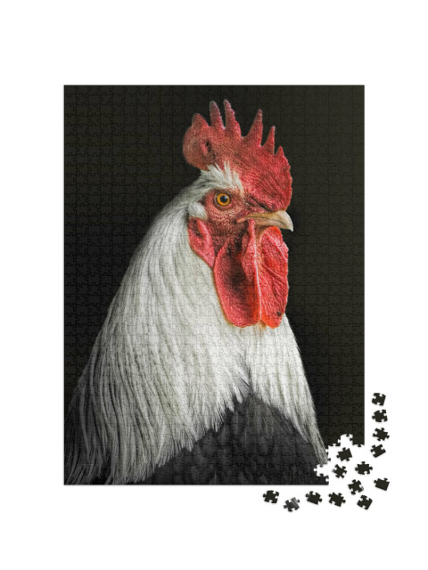 Puzzel 1000 stukjes „Portret van een haan“