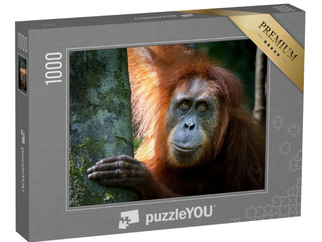 Puzzel 1000 stukjes „Portret van de beroemde en bedreigde Sumatraanse orang-oetan“