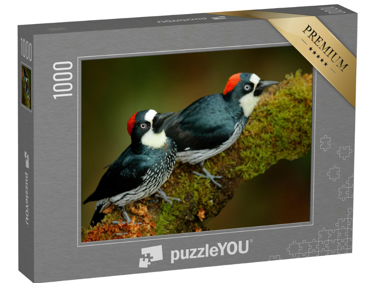 Puzzel 1000 stukjes „Twee eikelspechten op een met mos bedekte tak“