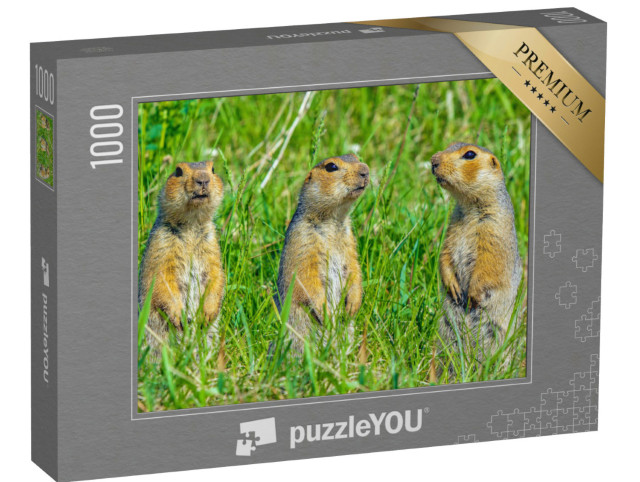 Puzzel 1000 stukjes „Eekhoorn familie“