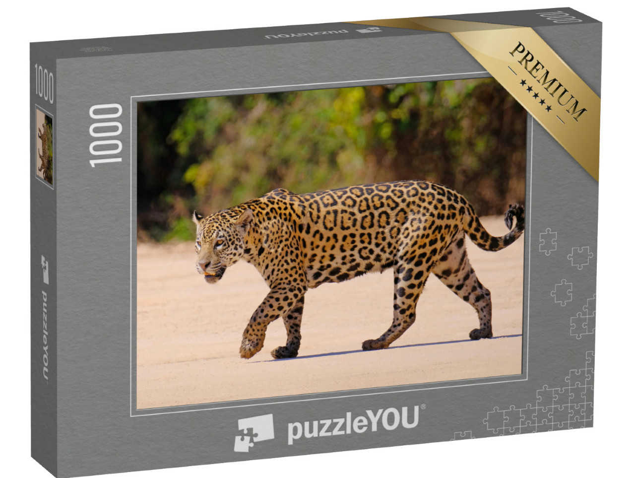 Puzzel 1000 stukjes „Vrouwelijke jaguar, Panthera Onca, Brazilië, Zuid-Amerika“
