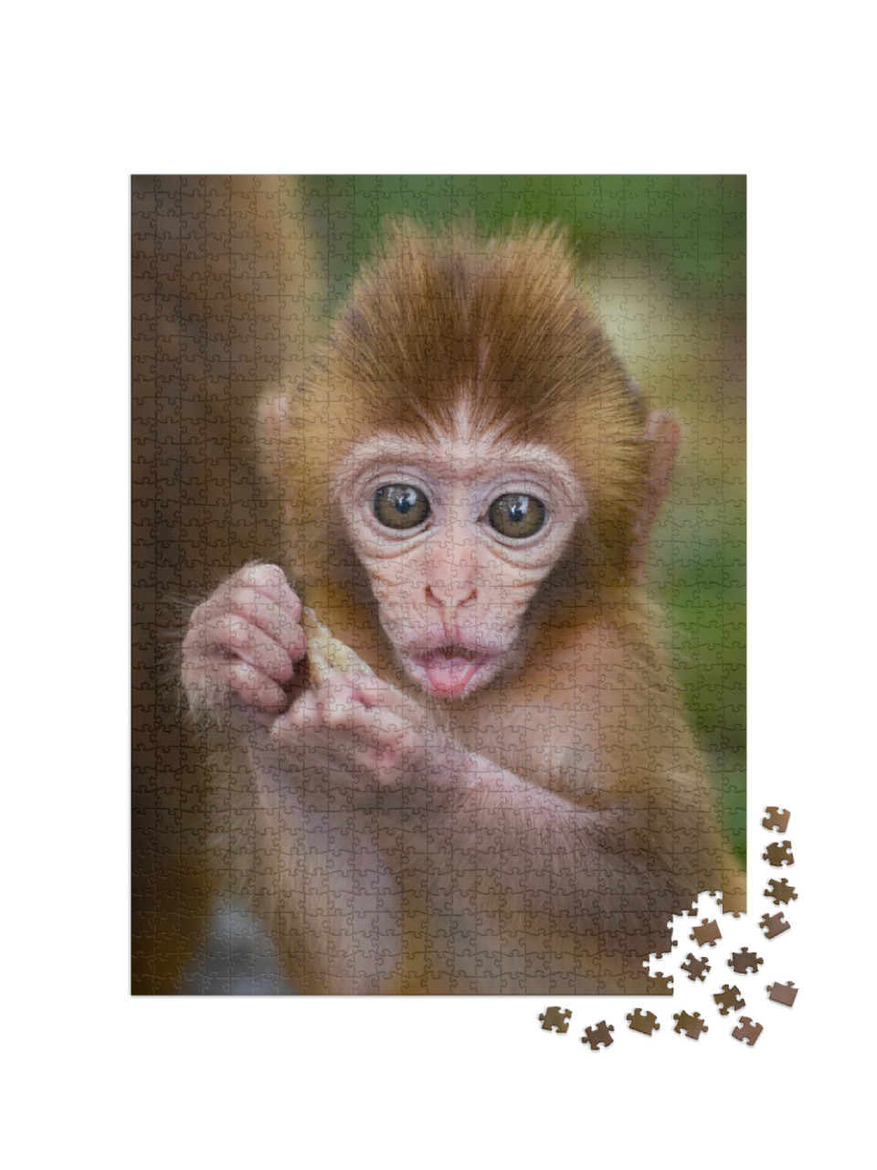 Puzzel 1000 stukjes „Een baby-aapje aan het eten in het bos“