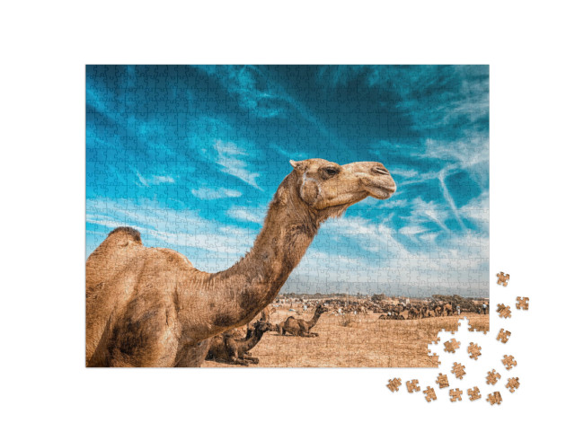 Puzzel 1000 stukjes „Kameel op de Pushkar Mela“