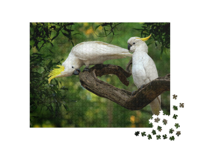 Puzzel 1000 stukjes „Cacatua galerit, Sulphur-crested Cockatoo op een tak, Australië“