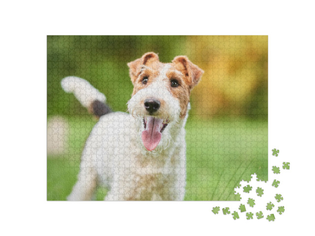 Puzzel 1000 stukjes „Close-up van een gelukkige fox terrier“