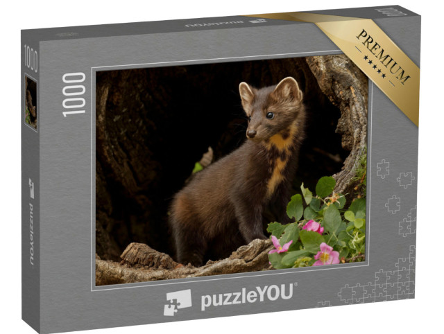 Puzzel 1000 stukjes „Boommarters in Montana, VS“