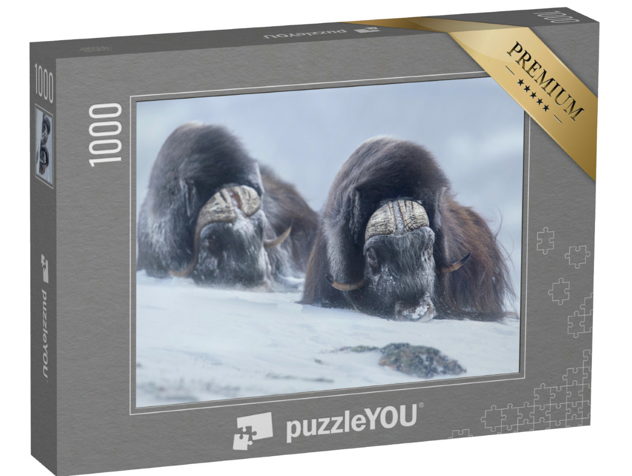 Puzzel 1000 stukjes „Twee muskusossen in de Noorse winter“