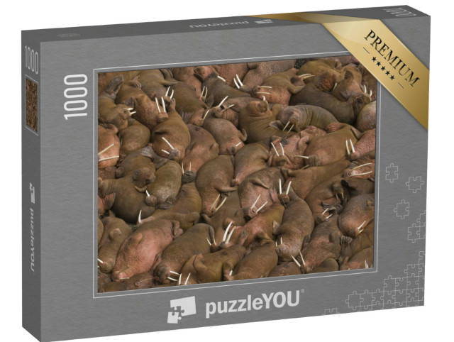 Puzzel 1000 stukjes „Samen zonnende walrussen op Round Island, Alaska, VS“
