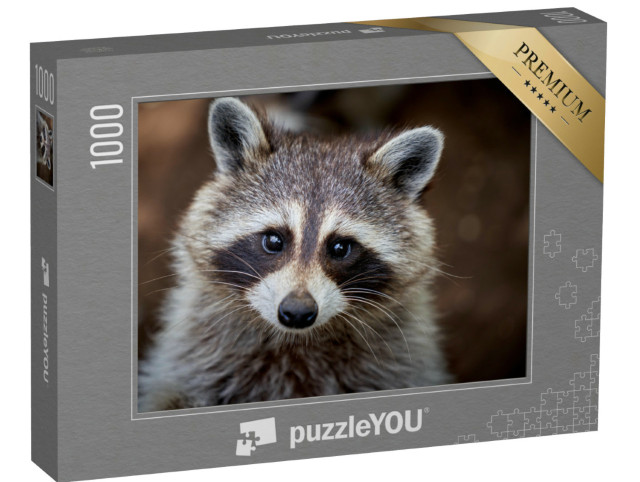 Puzzel 1000 stukjes „Close-up van een wasbeer“