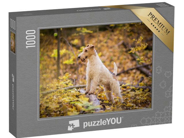 Puzzel 1000 stukjes „Draadharige Fox Terrier Herfst“