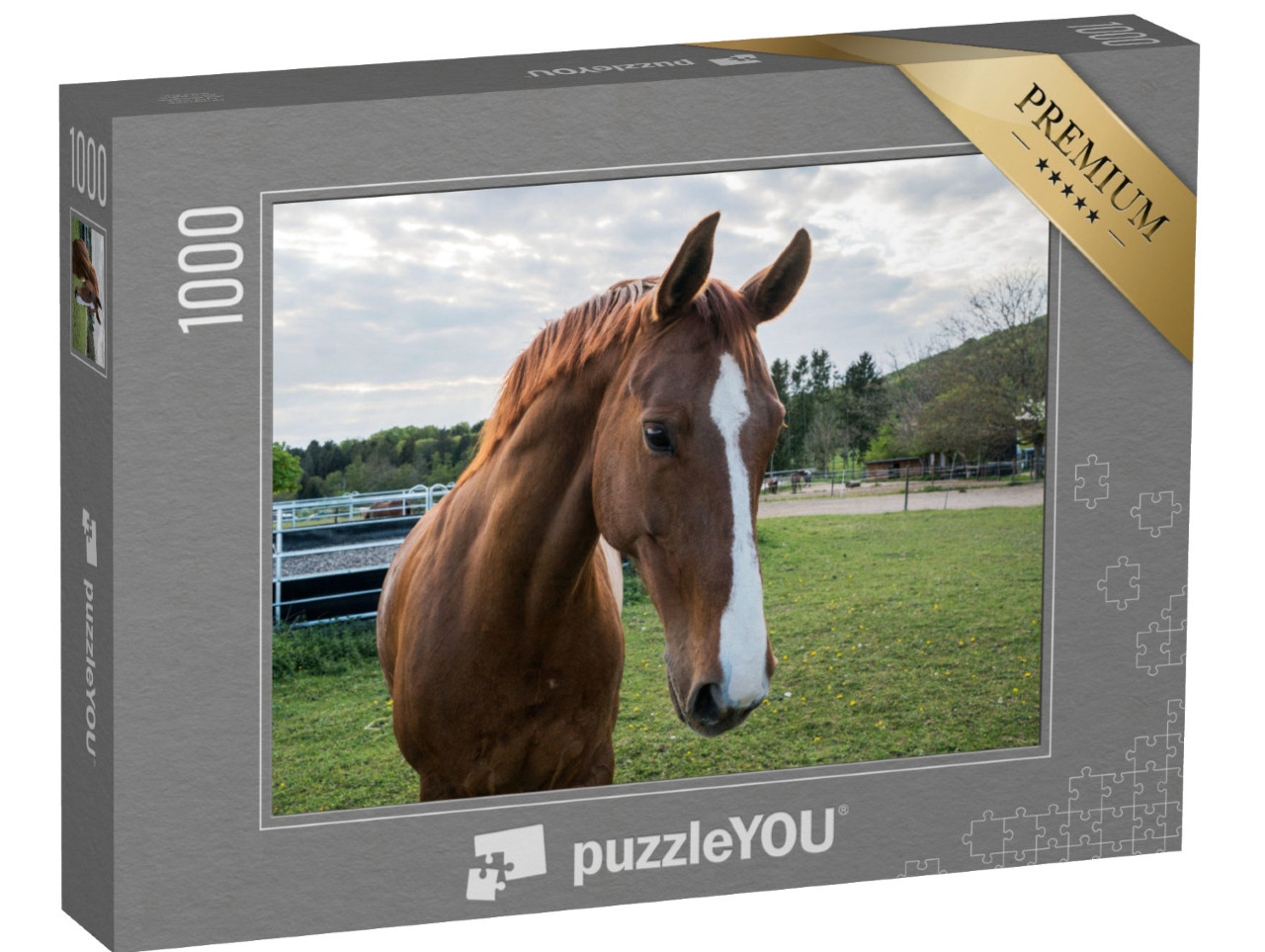 Puzzel 1000 stukjes „Close-up van een bruin paard met witte bleekheid“