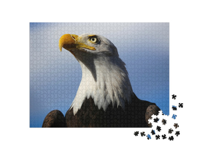Puzzel 1000 stukjes „Zeearend met blauwe lucht“