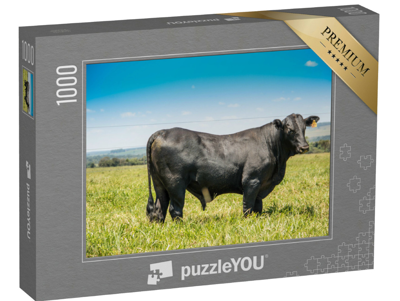Puzzel 1000 stukjes „Angus vee in zijaanzicht“