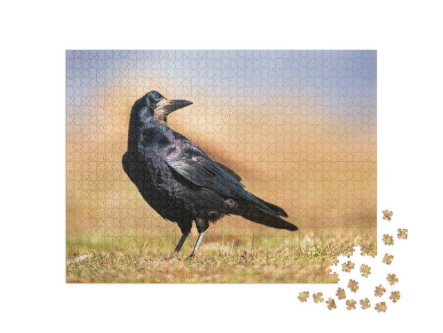 Puzzel 1000 stukjes „Glimmend zwart verenkleed van een toren“