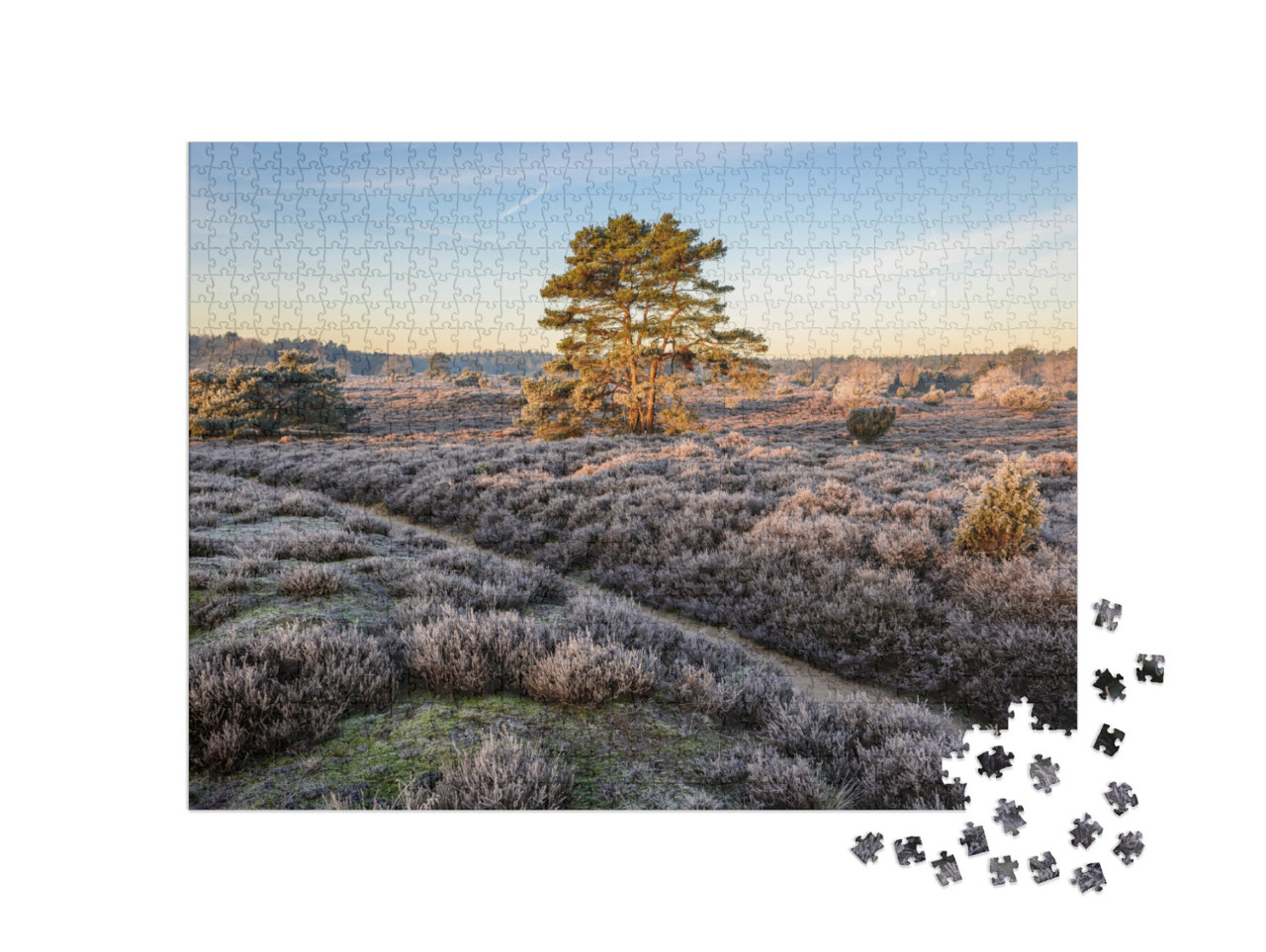 Puzzel 1000 stukjes „Wandelpad door een heidelandschap in de landelijke Nederlandse provincie Drenthe“