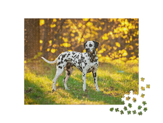 Puzzel 1000 stukjes „Dalmatiërs bij zonsondergang“