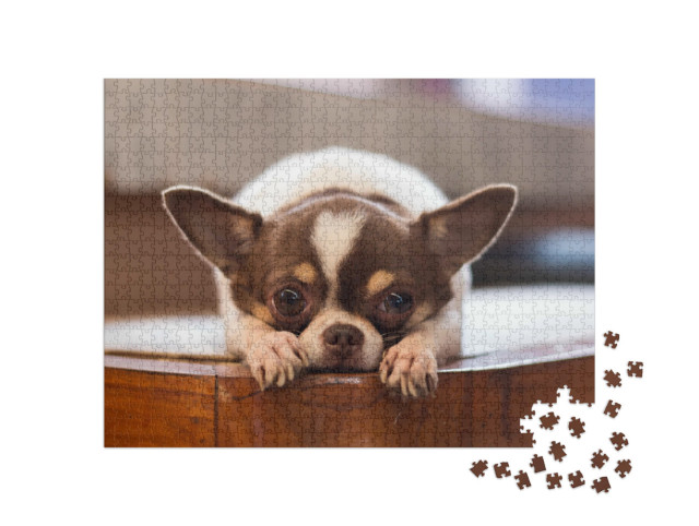 Puzzel 1000 stukjes „Eenzame hond“