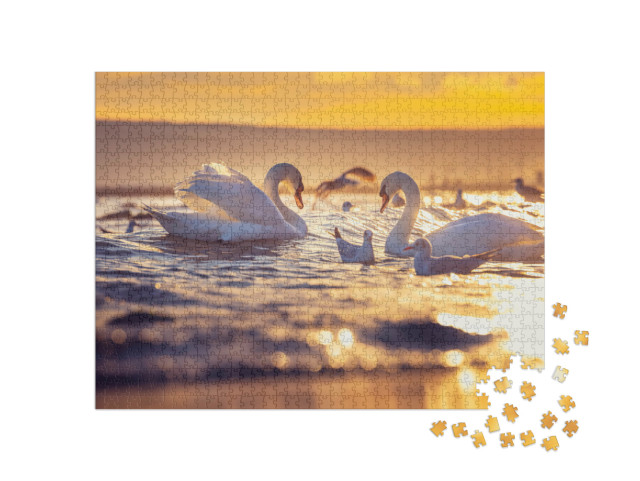 Puzzel 1000 stukjes „Witte zwanen en meeuwen bij zonsopgang“