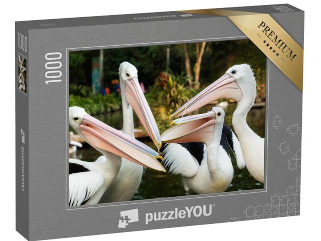 Puzzel 1000 stukjes „De witte pelikaan“