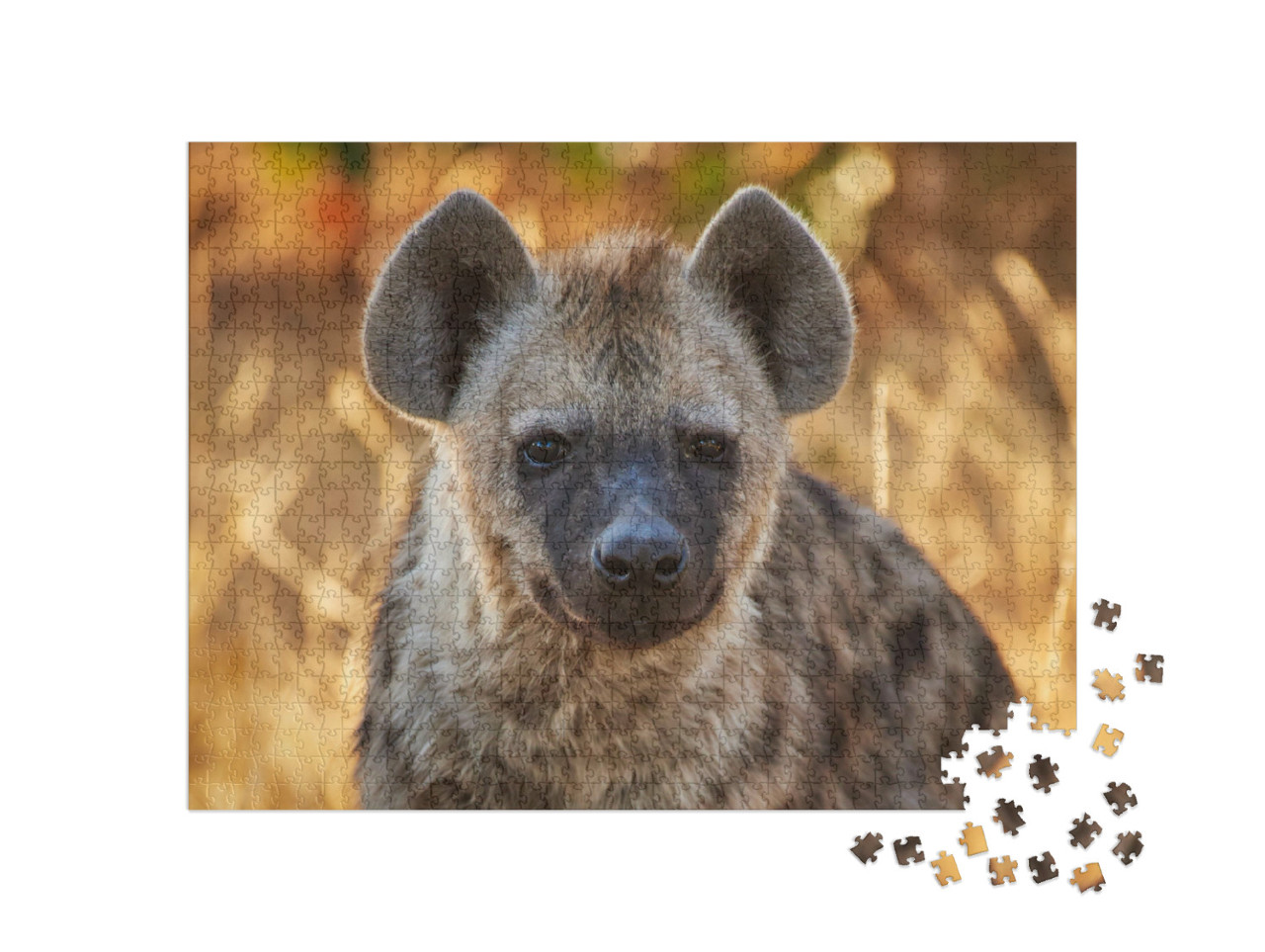 Puzzel 1000 stukjes „Jonge hyena in het avondlicht“