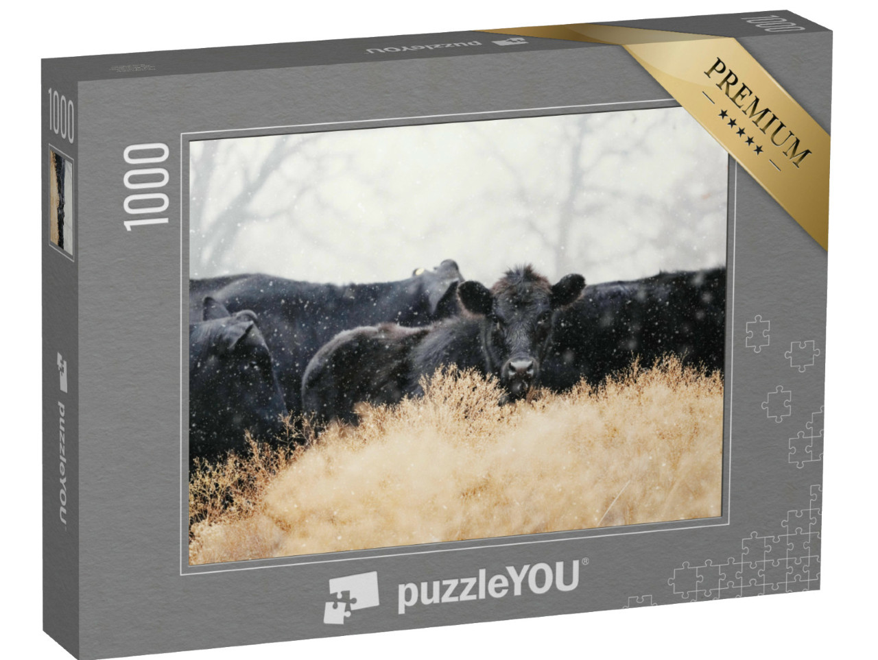 Puzzel 1000 stukjes „Black Angus kalveren met een kudde koeien in een sneeuwstorm“