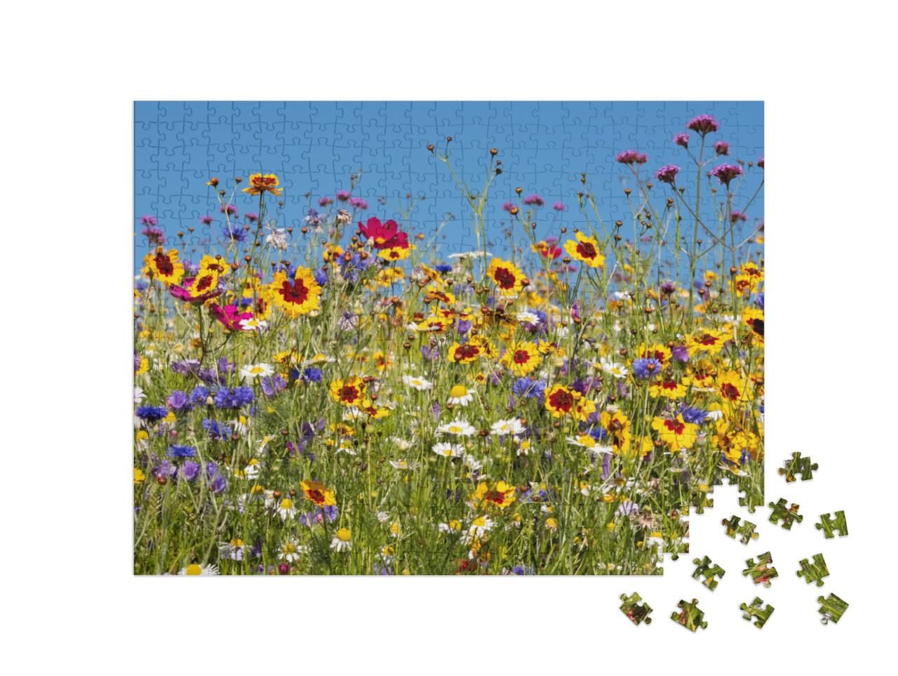 Puzzel 500 stukjes „Kleurrijke wilde bloemen bloeien voor de Savill Garden, Egham, Surrey“