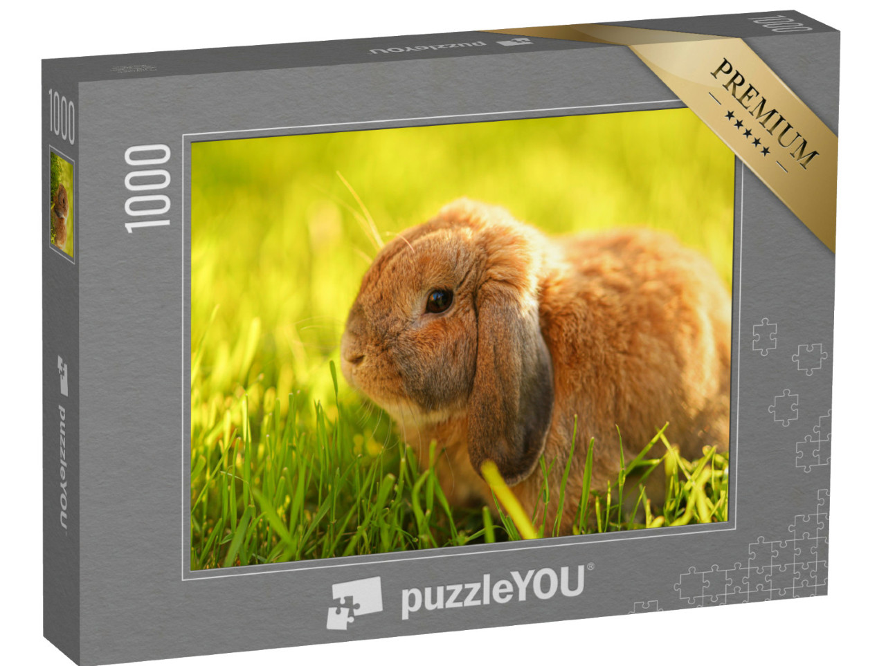 Puzzel 1000 stukjes „Klein konijn met hangende oren zit op het gras“