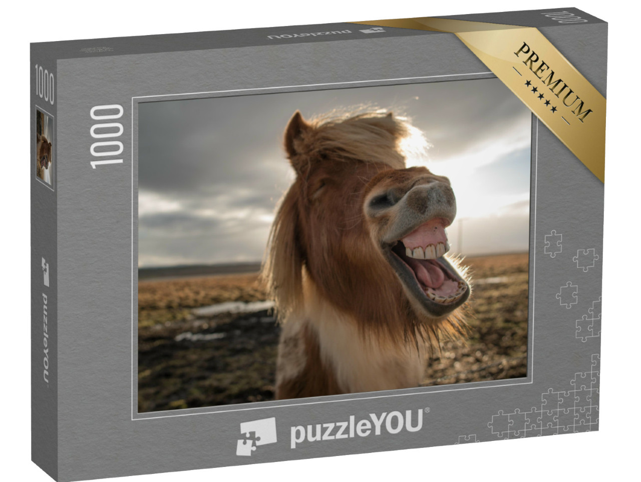Puzzel 1000 stukjes „Wild IJslands paard“