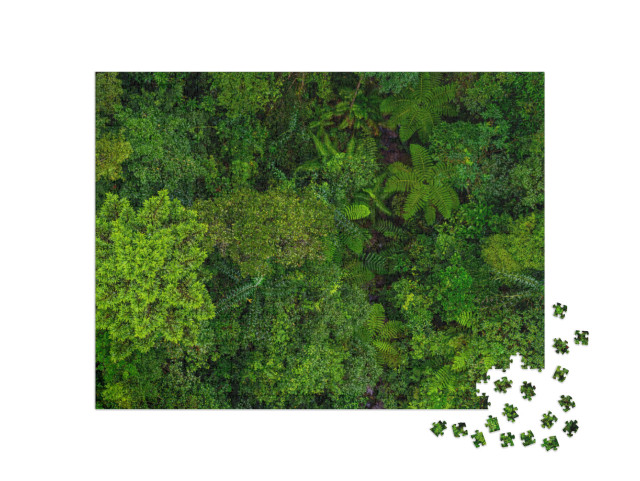 Puzzel 1000 stukjes „Het groene dak van het regenwoud“