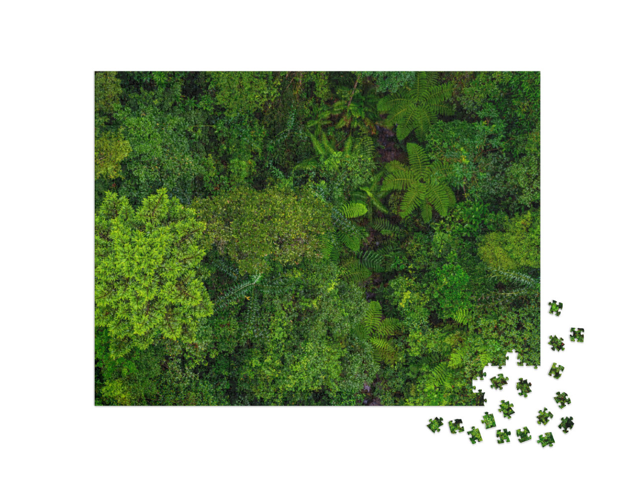 Puzzel 1000 stukjes „Het groene dak van het regenwoud“