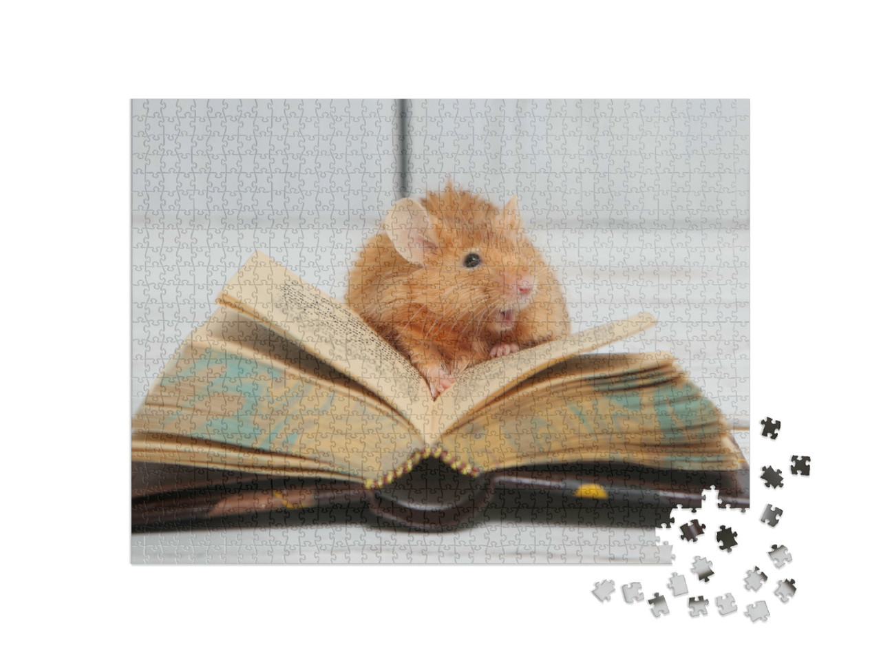 Puzzel 1000 stukjes „Nieuwsgierig muisje leest“