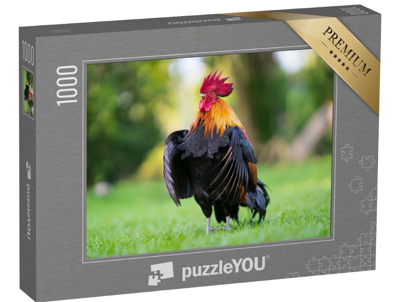 Puzzel 1000 stukjes „Indrukwekkende haan in de wei“