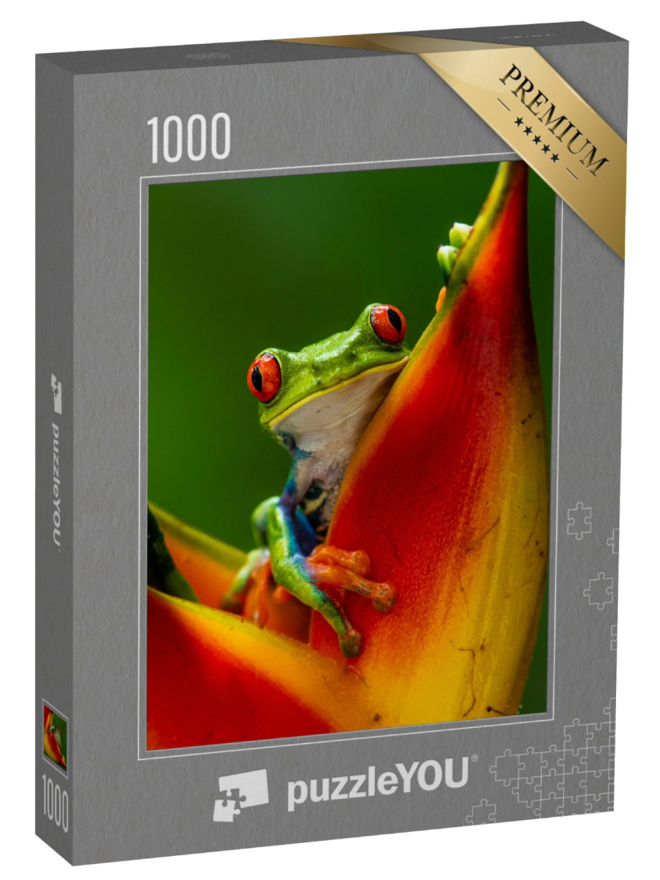 Puzzel 1000 stukjes „Roodoogmakikikker op een tropische bloem“