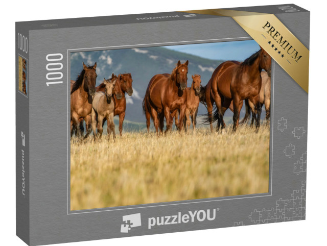 Puzzel 1000 stukjes „Kudde quarter horses op een grasvlakte voor de Pryor Mountains, Montana“