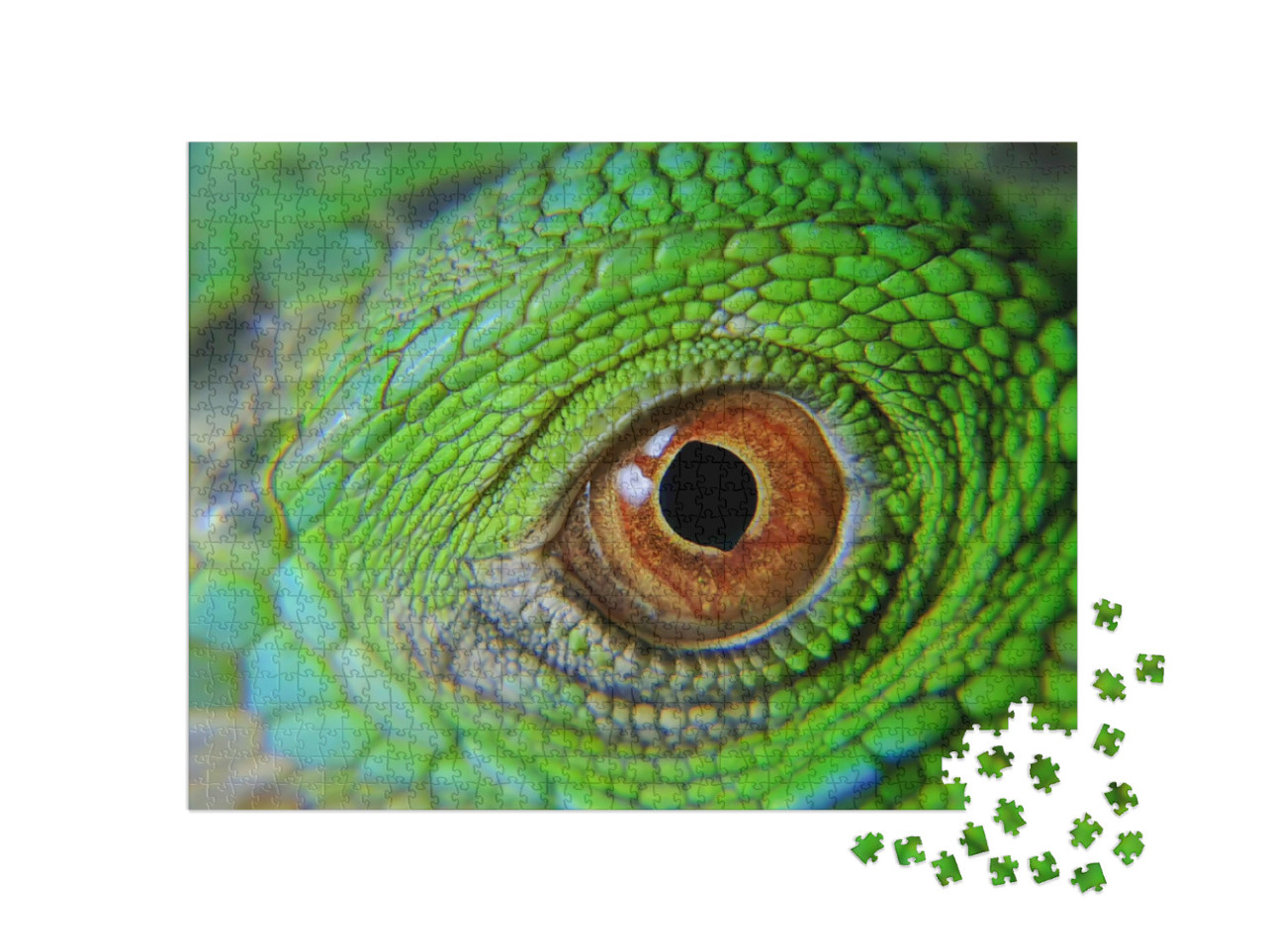Puzzel 1000 stukjes „Kameleons, hagedissen die van kleur veranderen“