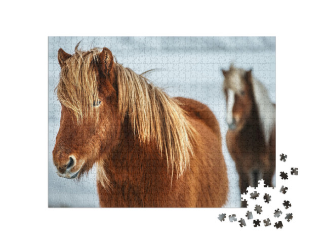 Puzzel 1000 stukjes „Portret van een prachtig IJslands paard“
