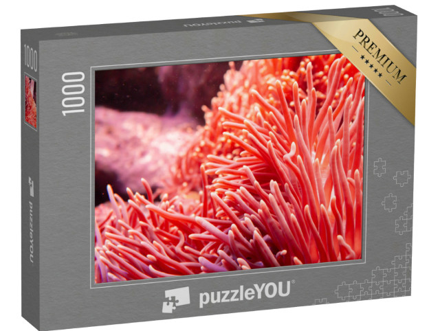 Puzzel 1000 stukjes „Roze koraal in de onderwaterwereld“