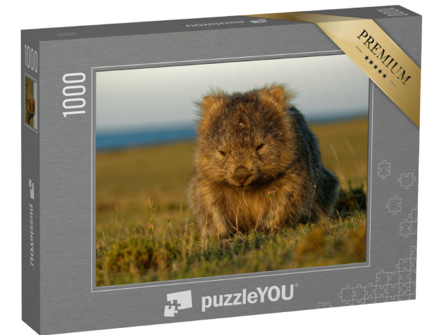 Puzzel 1000 stukjes „Een wombat in het Tasmaanse avondlicht, Australië“